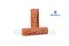 Кирпич облицовочный скала узкий, ложок 250х57х65мм морковный 393041942 фото